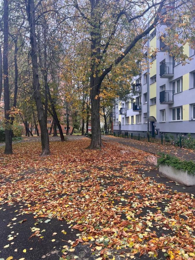 Yellow Apartment Airport Galeria Mokotow Netflix Warschau Buitenkant foto